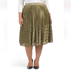 Wd.ny Plus Pleated Midi Skirt